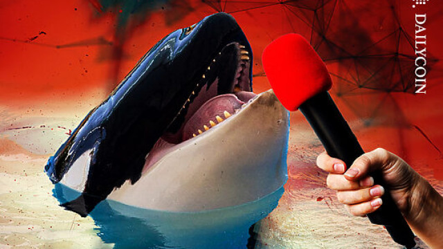Star Whale Loses $10M In BTC, ETH, HYPE As Markets Tank