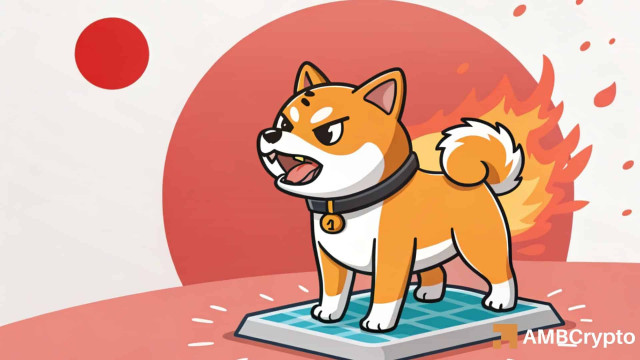 Shiba Inu: Will burn surge and Japan approval push SHIB toward a full recovery?