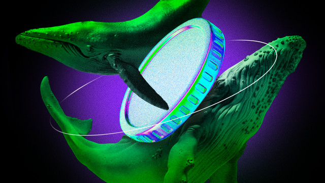 What ETH, SOL, and XRP Whales Did After the Fed's 0.25% Rate Cut
