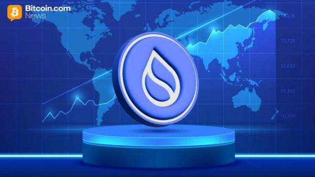 Sui Network Suffers 6-Hour Outage Following 1.72 Upgrade Bug
