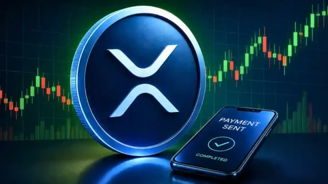 XRP Rich List Update : How Much XRP Do You Need to Be in the Top 1%?