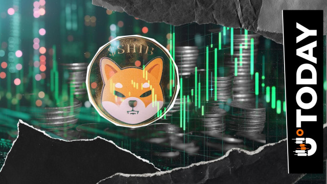Shiba Inu (SHIB) Key Price Reset: Big Chance for Recovery