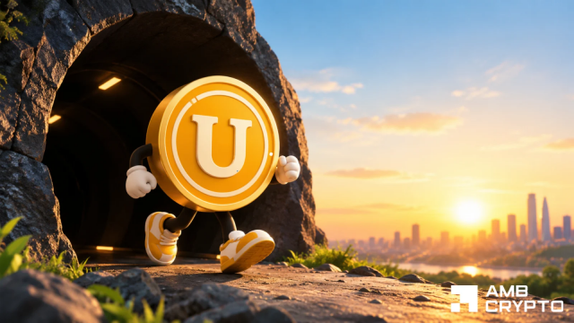 Decoding USELESS Coin's setup as Bithumb listing triggers $3.2M whale buy