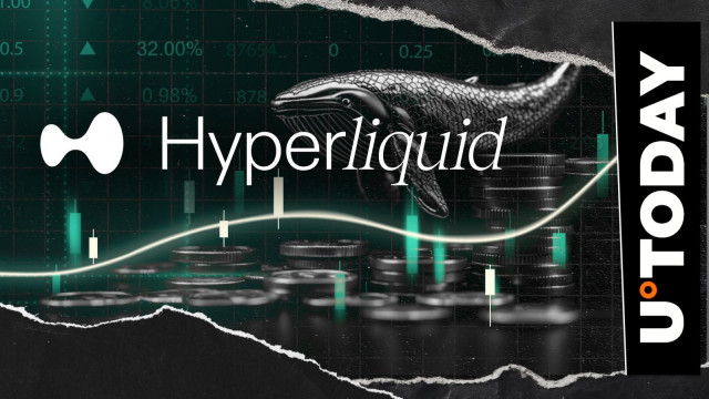 Hyperliquid (HYPE) Is Not Over: Spike in Whale Activity Spotted