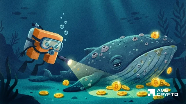 Oldest Satoshi-era Bitcoin wallet buys $2B in BTC – What does it know?