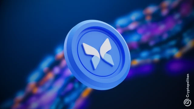 Morpho raises $175 million from Paradigm, a16z crypto, and Ribbit Capital as it closes gap on Aave