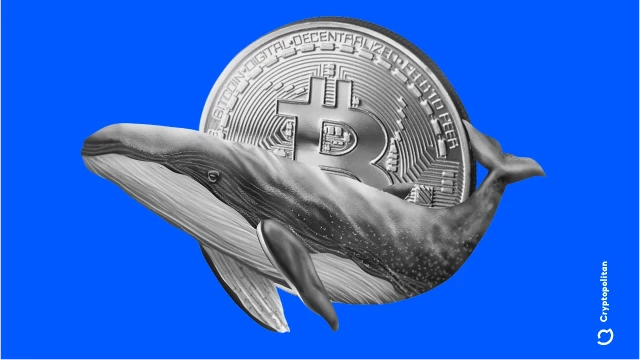 Bitcoin tops $74K as whale buying drives momentum