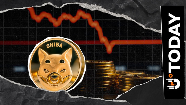 SHIB Market Update Highlights 129% Move Toward Net Outflows