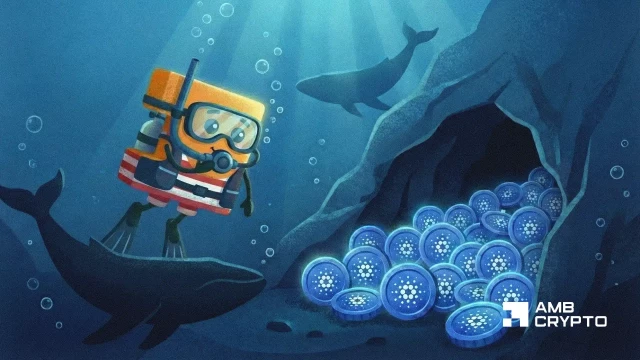 Here's how Cardano whales may be shaping ADA's price action