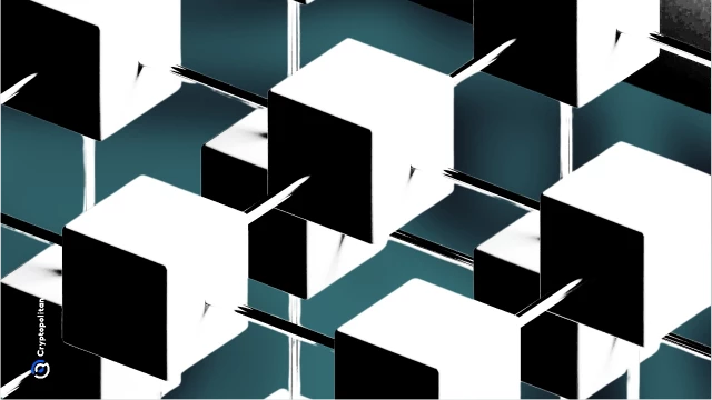 Arweave dismisses rumors that claim the network stopped producing blocks for over 24 hours