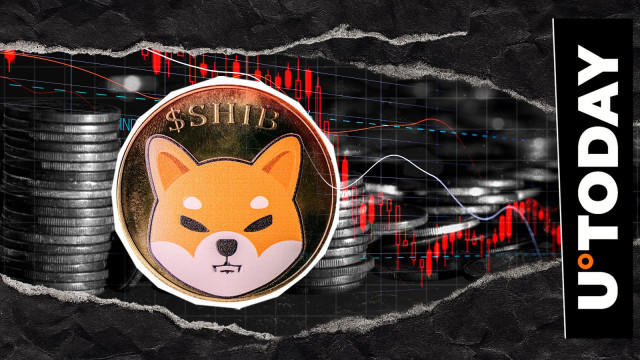 SHIB Price Crash: Crucial Support Now Tested