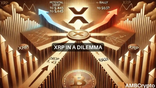 cover-image