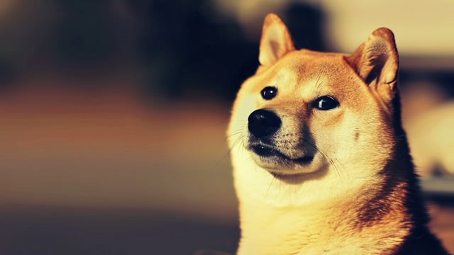 DOGE Coils At $0.10 — Breakout Or Breakdown Incoming?
