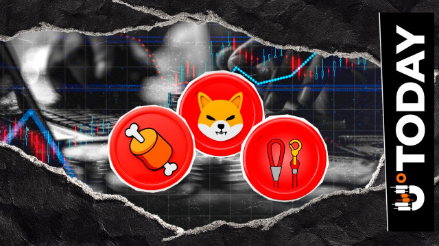 Shiba Inu Exec on SHIB, BONE, LEASH: 'Darkest Periods Eventually Turn'