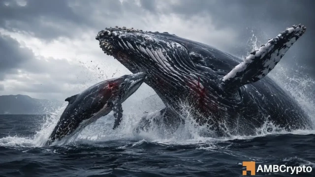 Hyperliquid whales push selling pressure, but THIS keeps HYPE stable