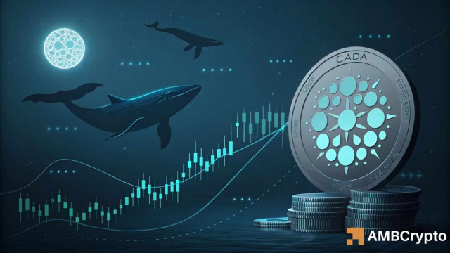 Cardano's long-term structure is changing – How whales played a part