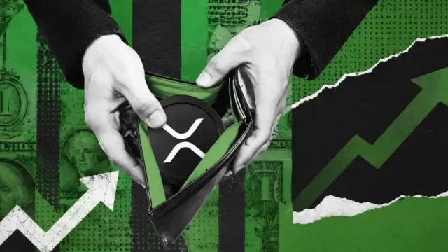 XRP Rich List Update: 44,896 XRP Is Enough for the Top 1% of Holders