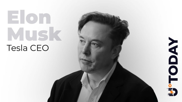 „Unterhaltsamstes Ergebnis“: Hat Elon Musk Dogecoin unterstützt?