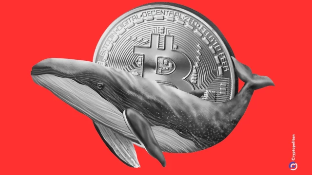 Exchange data shows BTC whales moving out of leveraged long positions