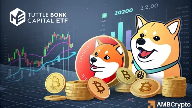 BONK, Litecoin, SUI see ‘colorful crypto income ETF' filings – Impact on price?