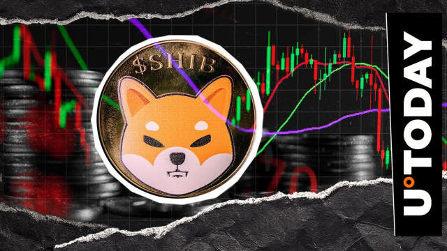 300,000,000,000 Shiba Inu (SHIB) Drop in 2 Days: Pump Coming