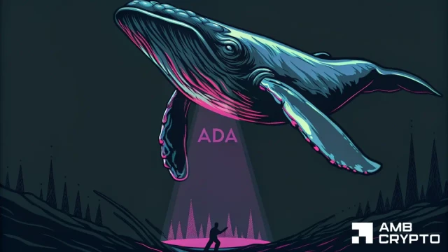 Cardano price hits $0.195 as whales move before retail