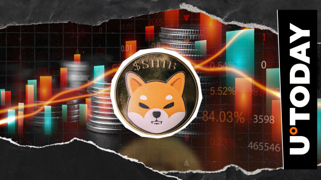 -87% on Key SHIB Metric – What's Happening?