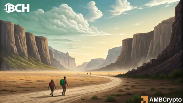 Bitcoin Cash – Why buying BCH before a $624 breakout is risky