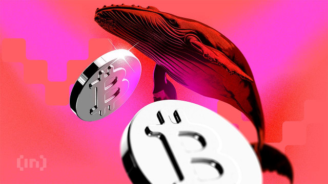 Bitcoin's Sell-Off Reveals Deep Market Divides: Opportunity or Structural Vulnerability?