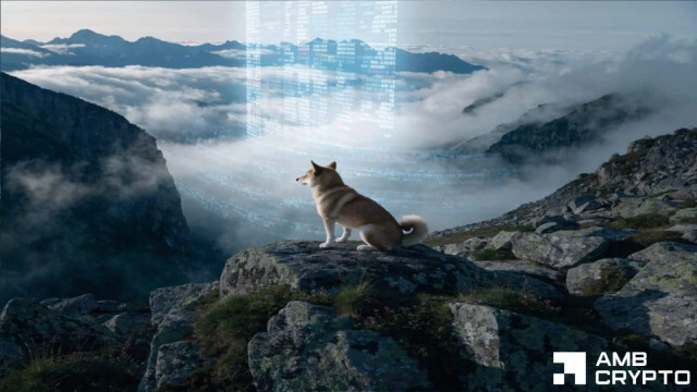 Here's why Shiba Inu's latest price hike might just be a bull trap