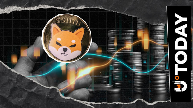 Crucial 'SHIB Owes You' Function Stressed by SHIB Executive