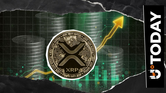 844,000,000 Million XRP in 24 Hours: Enormous Surge Brings Hope