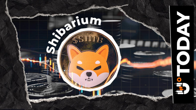 Shiba Inu: Connection Problems on Shibarium Usually Not Network Related