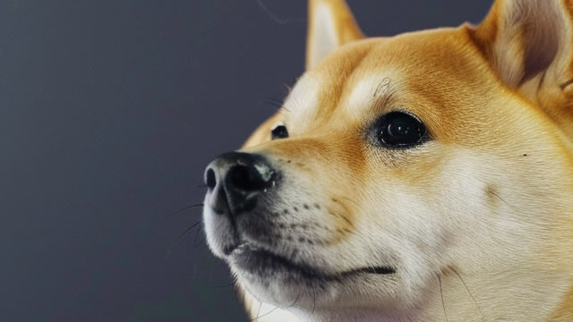 Dogecoin price coils within falling wedge ahead of ETF launch, targets $0.25