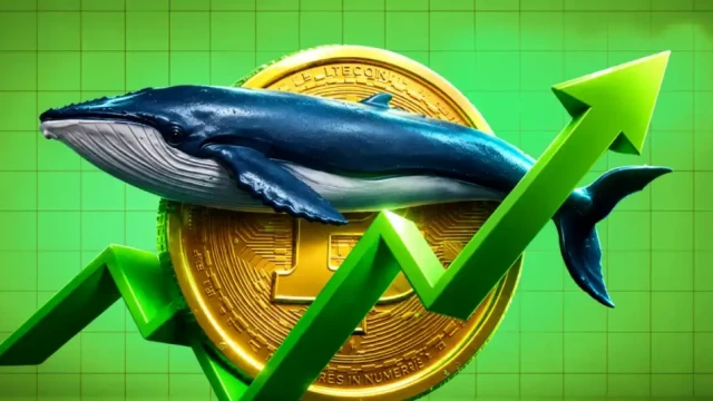 Bitcoin Indicators Flag Best Entry Point for Long-Term Investors
