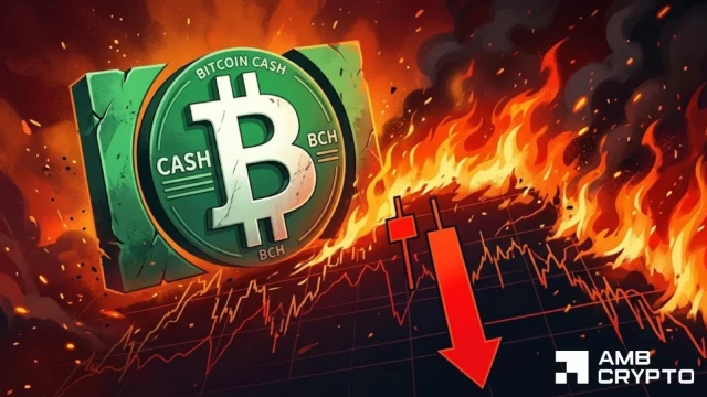 Analyzing Bitcoin Cash's 10% drop: What's next for BCH whales?