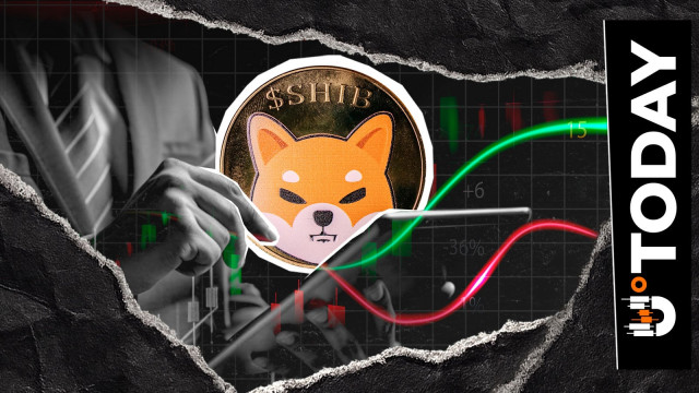 Shiba Inu Spot Flows Surge 1,546% in 24 Hours, But SHIB Price Stays in Red