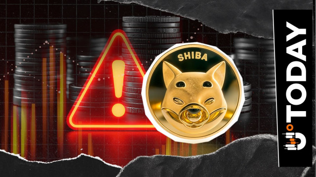 Shiba Inu Gets Sudden Security Update for SHIB Holders, What's Behind It?