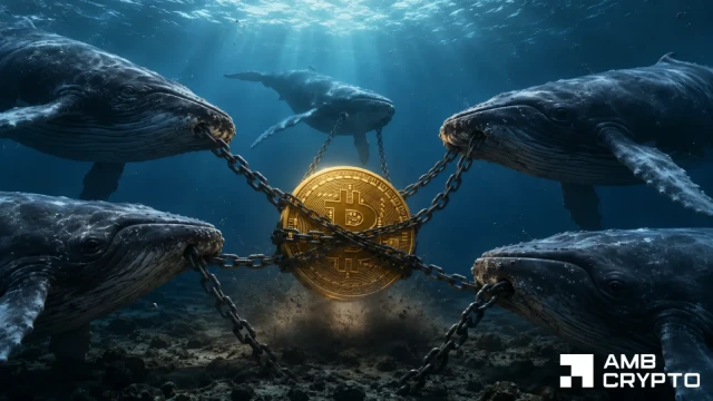 Analyse de la baisse de 15 % du Bitcoin en juin malgré 43 millions de dollars d'achats de baleines