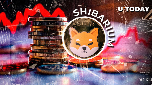 Shibarium Activity Crashes 75%: What's Going On With Shiba Inu?