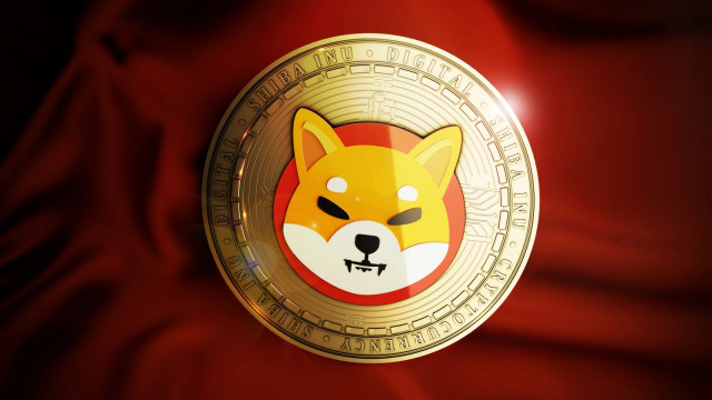 Shiba Inu (SHIB) Risks Losing Top-30 Spot Amid Privacy Boom