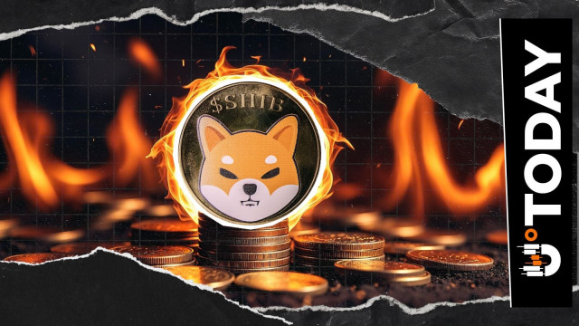 SHIB Burns Skyrocket 1,344%: 28,863,518 SHIB Torched