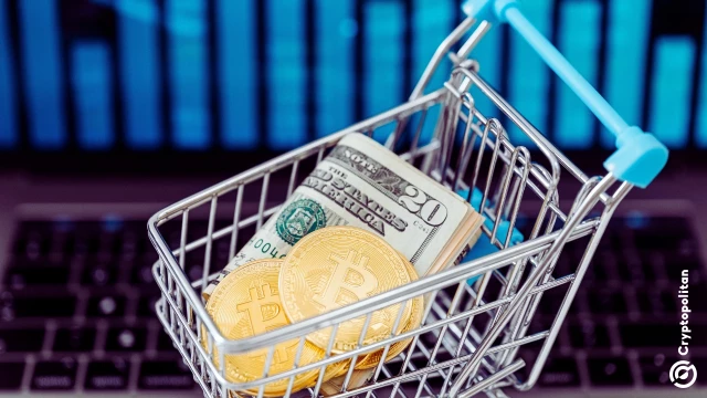 Featured image for article: Token Cat Limited's board agrees to allocate $1 billion of its cash reserves into selected crypto assets