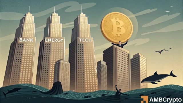 Big money won't stop buying Bitcoin! Corporate treasuries now own 1 mln BTC