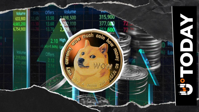 전체 NFT 시장보다 800% 더 큰 Dogecoin