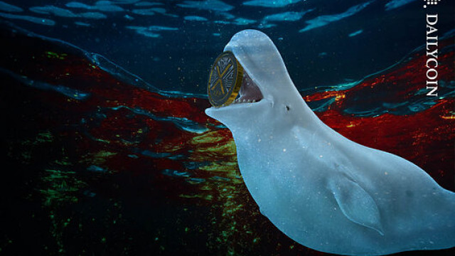 XRP Whales Scoop Up $360M Ahead Of FED Chair Appointment