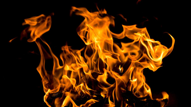 Ripple Burns Nearly 180 Million RLUSD in Mere Hours