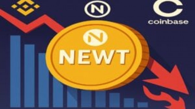 Newton Protocol: The price of NEWT crashes after the airdrop on Binance and the debut on Coinbase