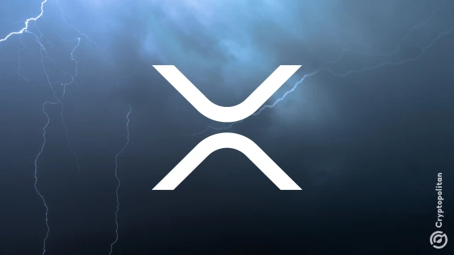 XRP on-chain activity surges to a record level