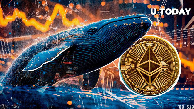 New Ethereum Whale Receives $84 Million in ETH
